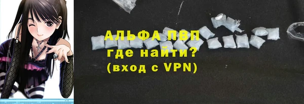 PSILOCYBIN Аркадак