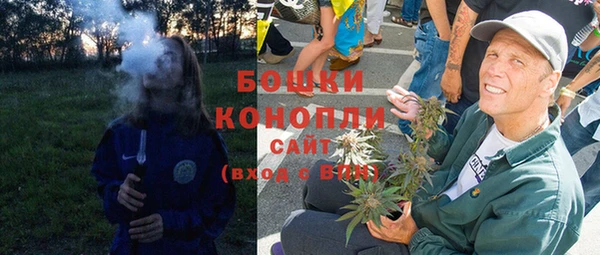 PSILOCYBIN Аркадак