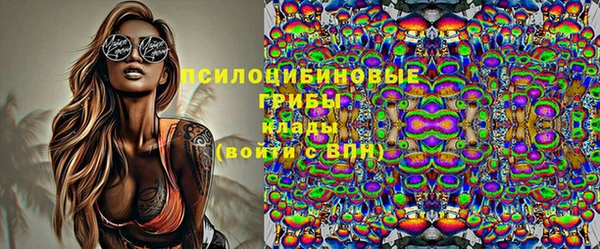 PSILOCYBIN Аркадак