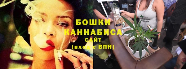 PSILOCYBIN Аркадак