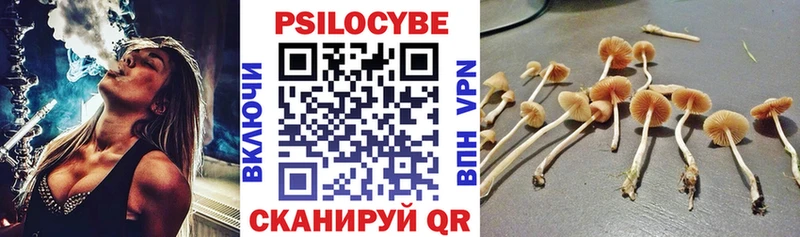 закладки  Макарьев  Псилоцибиновые грибы мицелий 